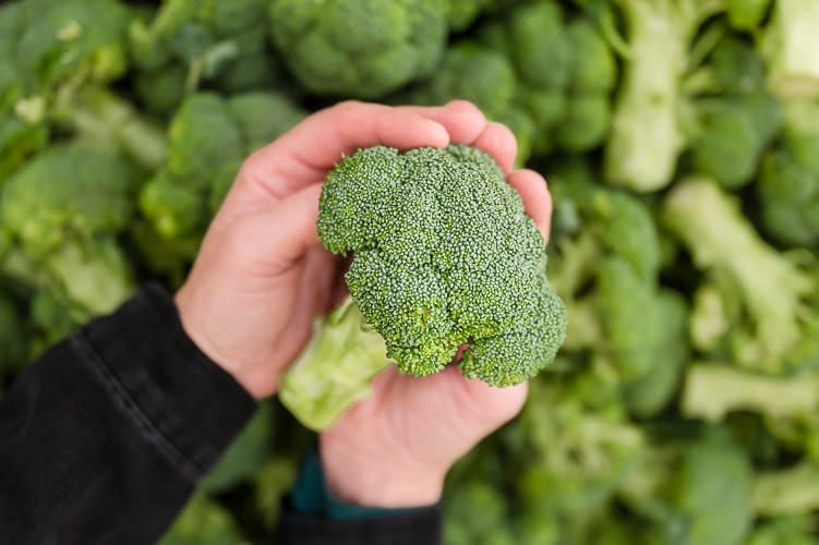 Hands holding broccoli with the bin of broccoli blurred in the background