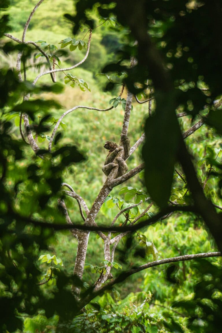 Debí Tirar Más Fotos ~ And Other Things Travel Taught Me